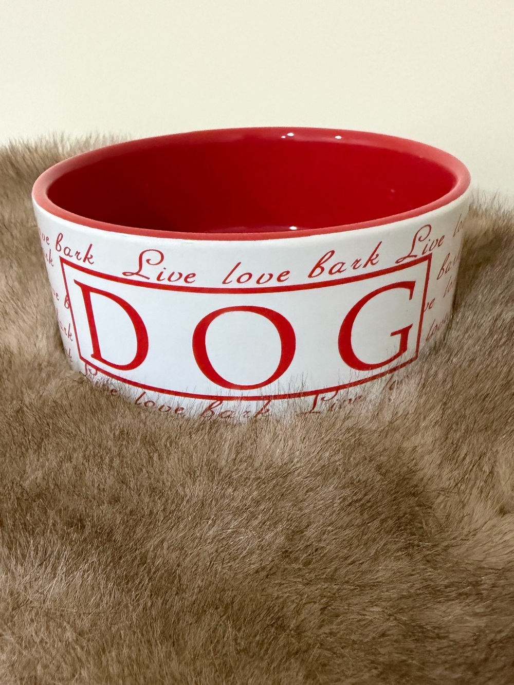 Ceramic Dog Bowl in Red and White – 'DOG' Designer Style